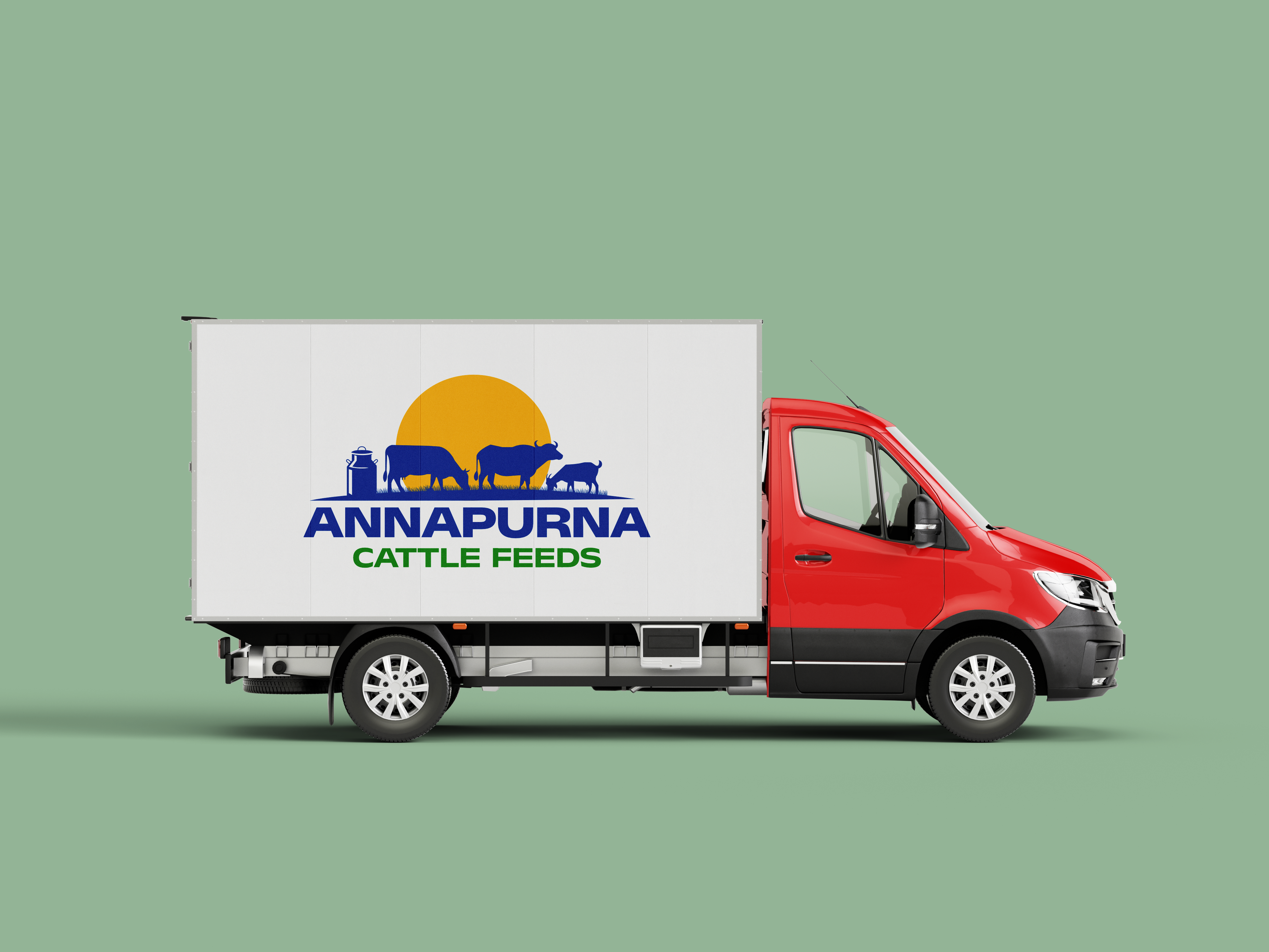 Cattle Feed