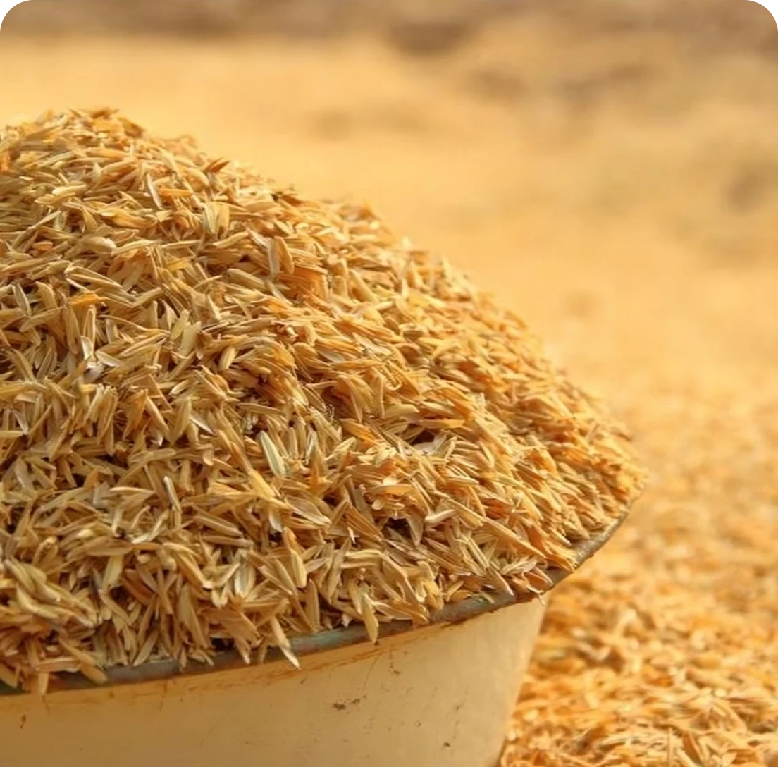 RICE BRAN